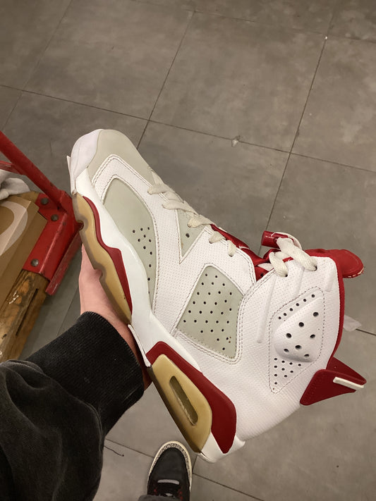 Jordan 6 Alternate Hare Used